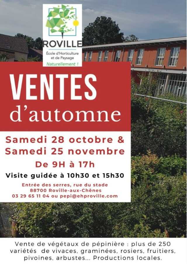 VENTES D'AUTOMNE