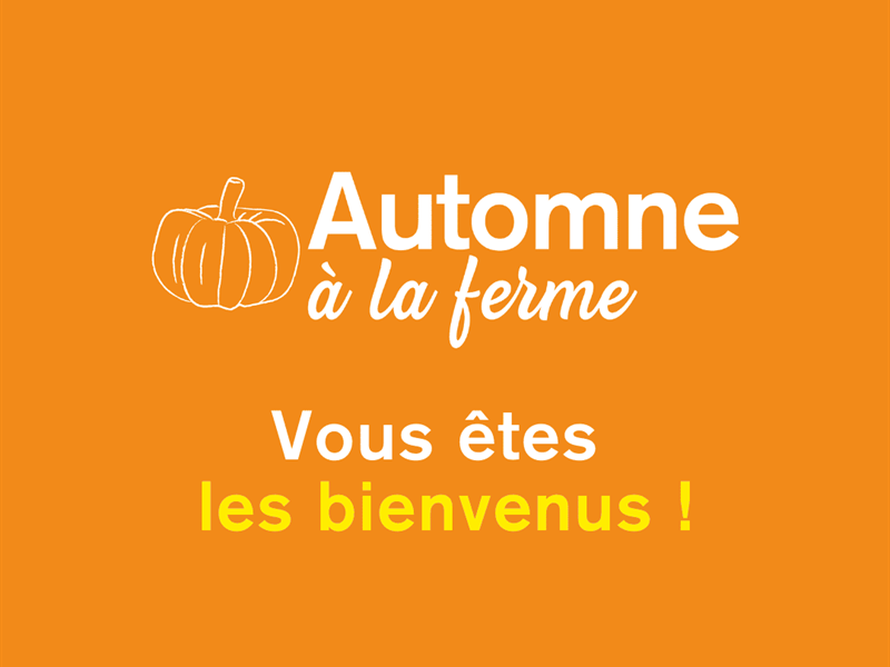 AUTOMNE À LA FERME : JEU DE PISTE À LA FERME !