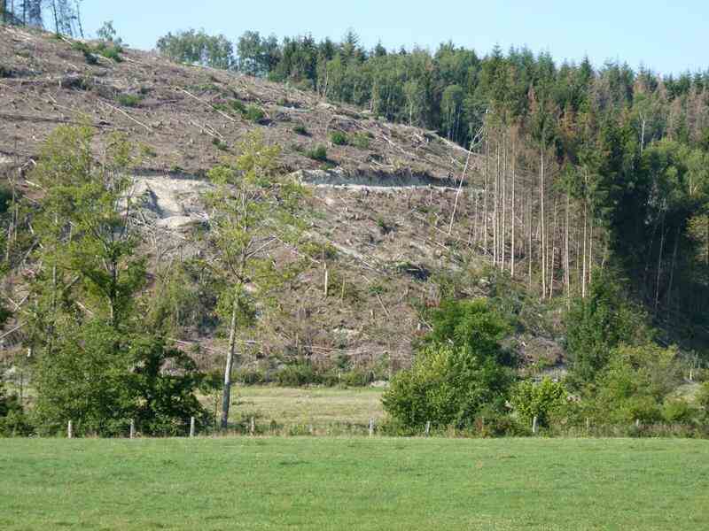 CONFÉRENCE - LA FORÊT FRANÇAISE FACE AU DÉRÈGLEMENT CLIMATIQUE : EXEMPLES MEUSIENS