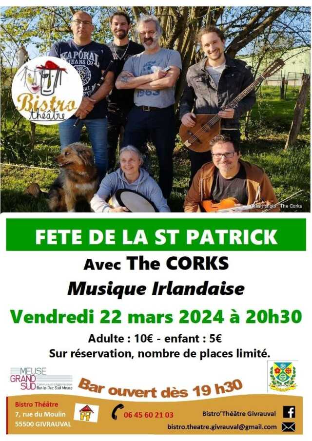 FÊTE DE LA ST PATRICK - CONCERT ALECELTIC