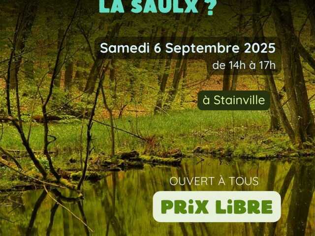 SORTIE NATURE - OÙ EST PASSÉE LA SAULX ?