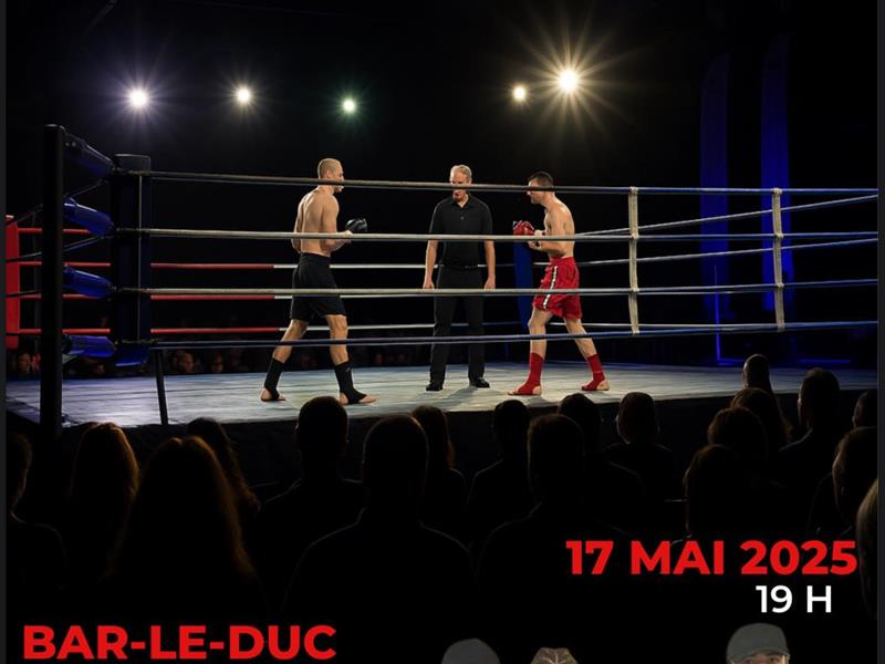 Gala de Kick Boxing - KO des Ducs II