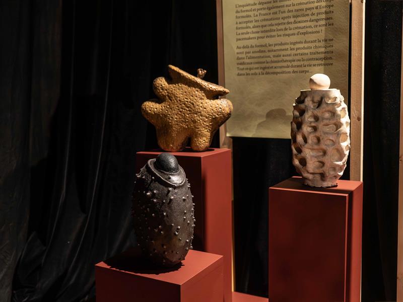 Visite guidée de l'exposition - Supernature !