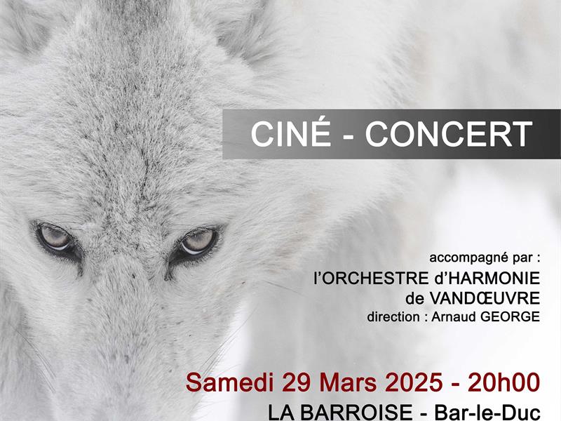 CINÉ CONCERT - FRAGMENTS ET VARIATIONS SAUVAGES