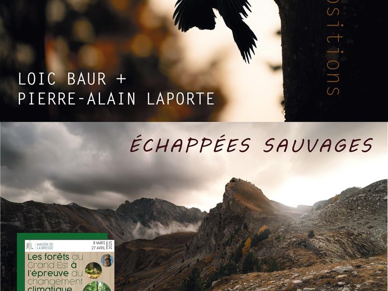 ÉCHAPPÉES SAUVAGES