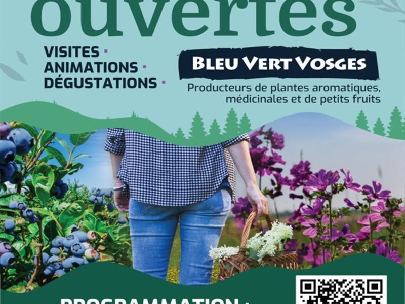 FERMES OUVERTES BLEU VERT VOSGES