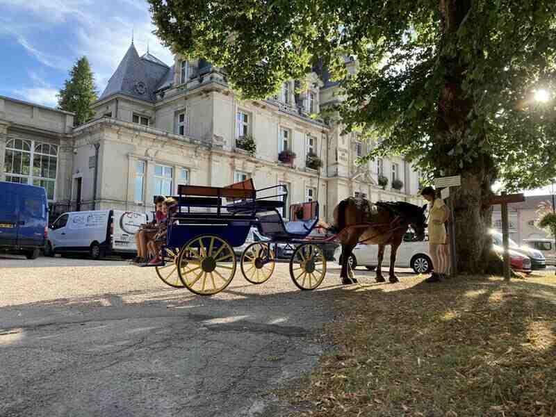 Balade attelée en calèche