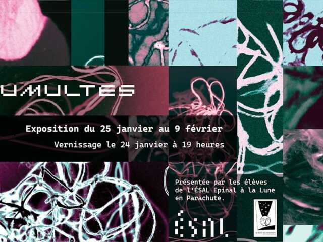 TUMULTES - EXPOSITION DES ÉTUDIANTS DE L'ÉSAL ÉPINAL