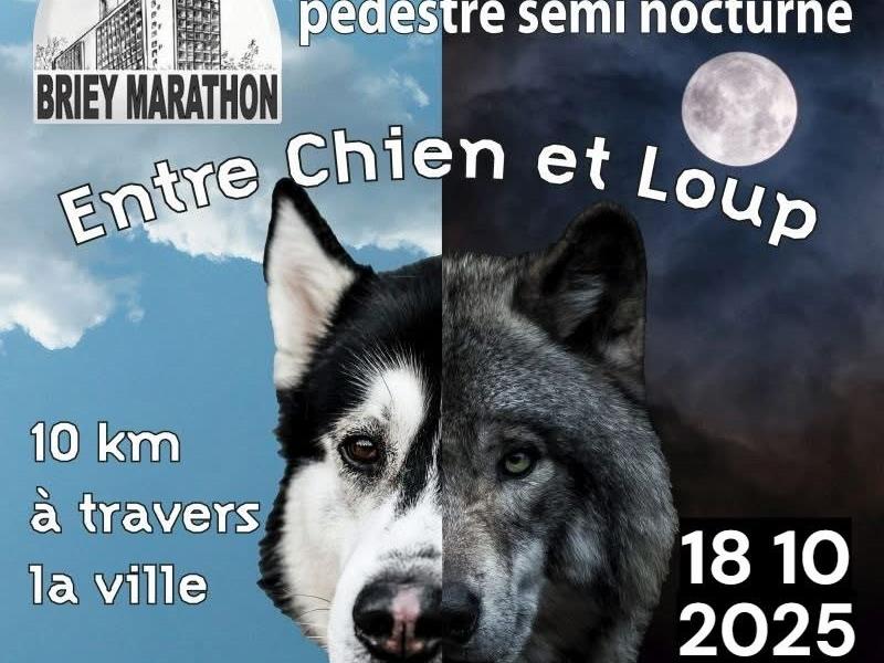 Course pédestre Entre chien et loup