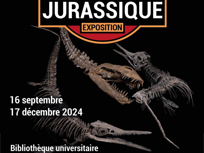 EXPOSITION - MONSTRES MARINS DU JURASSIQUE