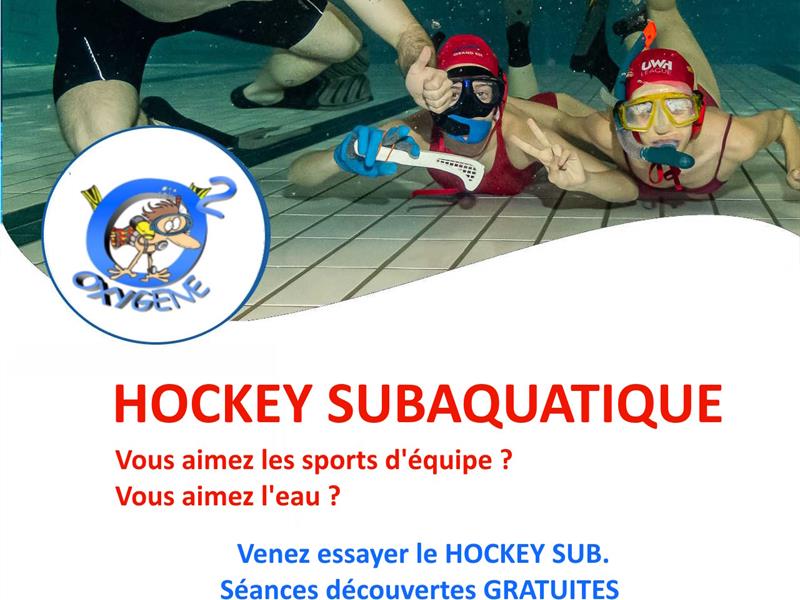 Initiation au hockey subaquatique