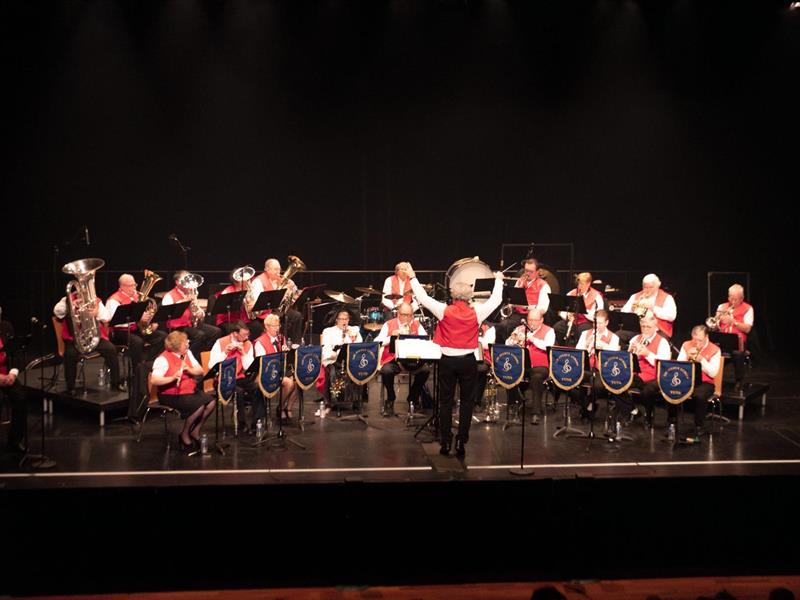 Concert des Joyeux Lurons