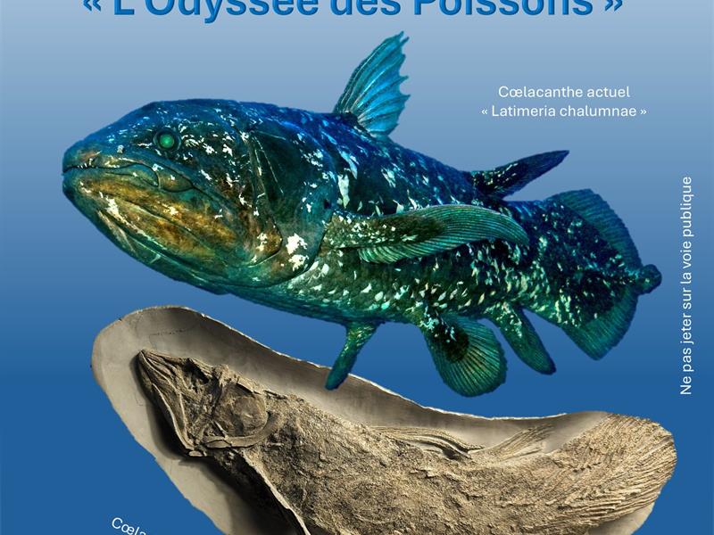 Bourse-exposition L'odyssée des poissons