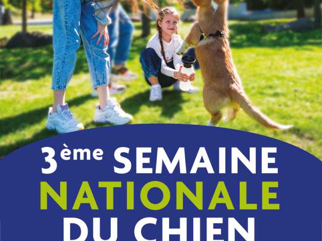 Semaine Nationale du Chien