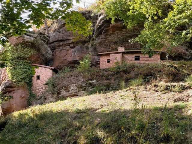 SORTIE NATURE - À LA DÉCOUVERTE DE LA BIODIVERSITÉ DE DABO