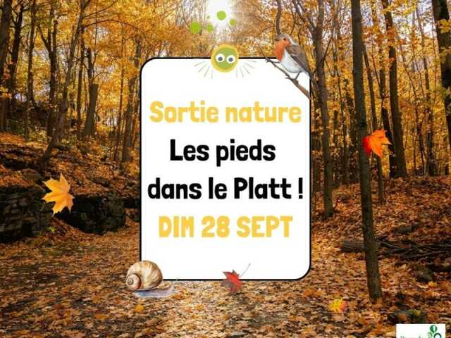 Sortie nature - Les pieds dans le Platt !