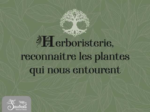 Herboristerie - reconnaitre les plantes qui nous entourent