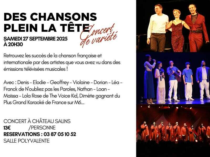 Concert des Maestros - Des chansons plein la tête