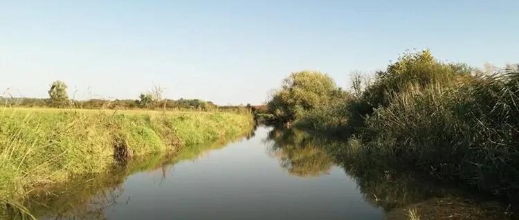 Découverte des travaux de renaturation de la Seille