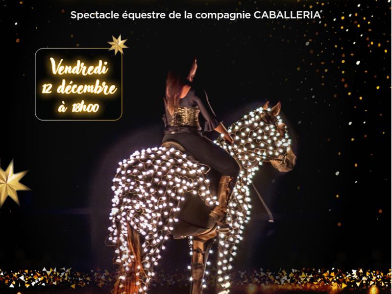 Spectacle équestre - A la recherche de l'étoile des voeux