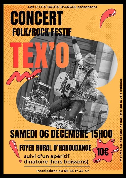 Concert - Tex'O - Folk Rock Festif