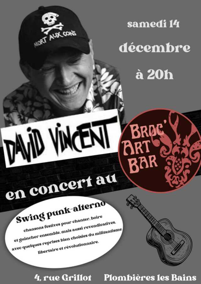 DAVID VINCENT EN CONCERT