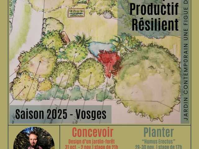 Stage de Design et micro jardin-forêt en Permaculture (88- Vosges)