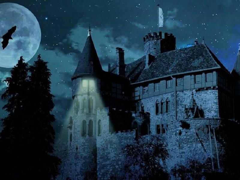 Les ombres de Fürst : le château ressuscité