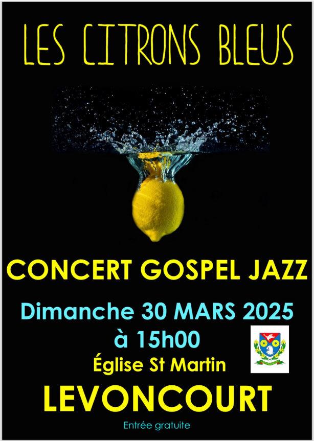 CONCERT LES CITRONS BLEUS