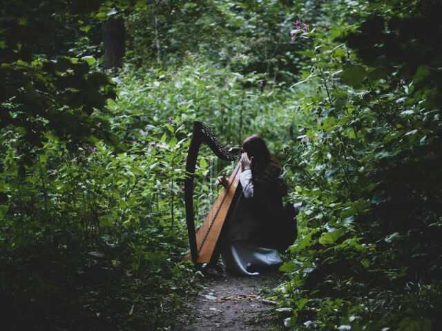 NOËL AU SON DE LA HARPE AU JARDIN BOTANIQUE