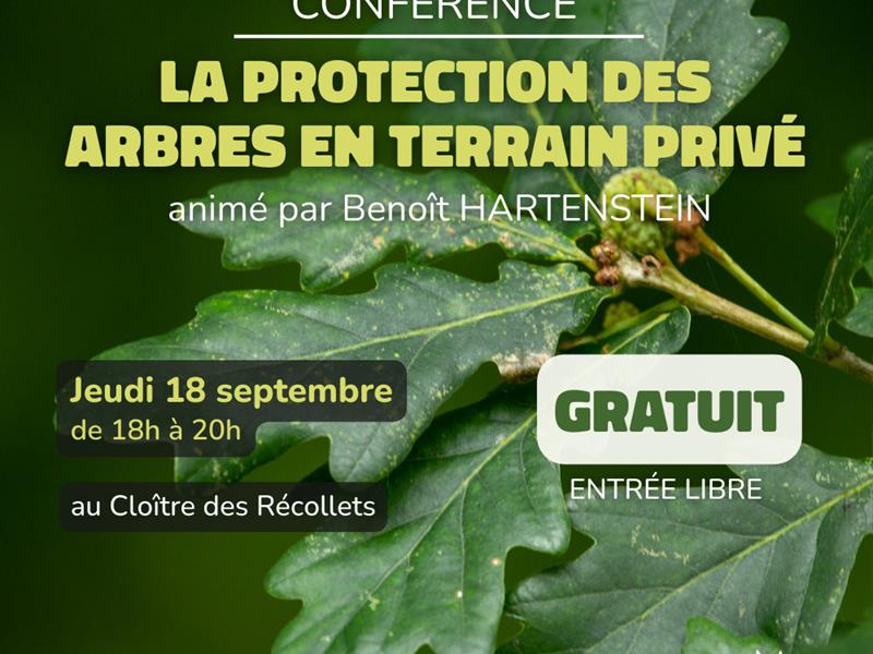 Conférence - protéger les arbres en terrain privé
