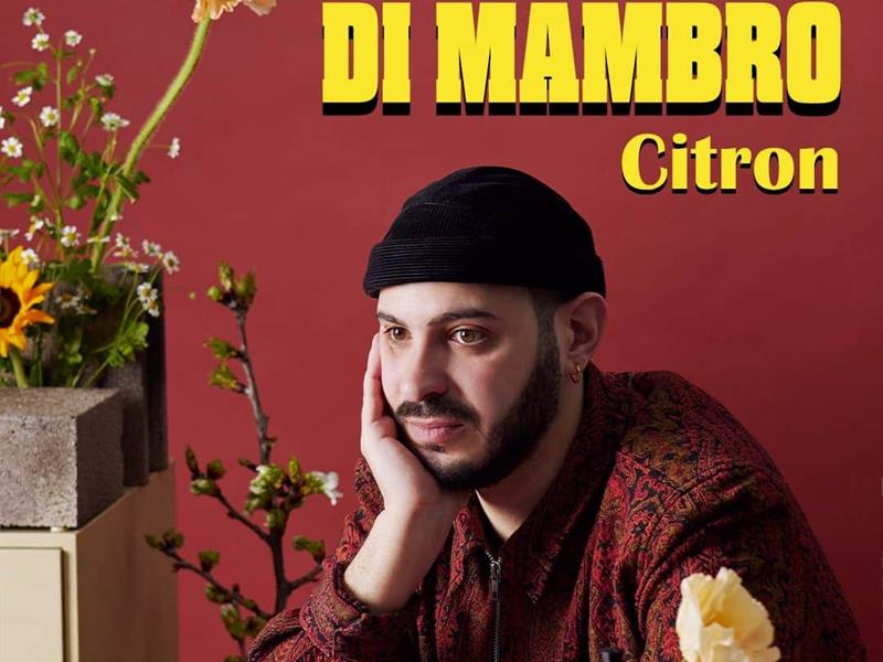 Spectacle - Alex Di Mambro - Citron