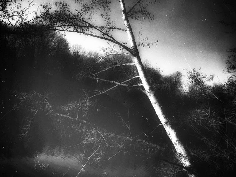 Exposition - artistique de photographies