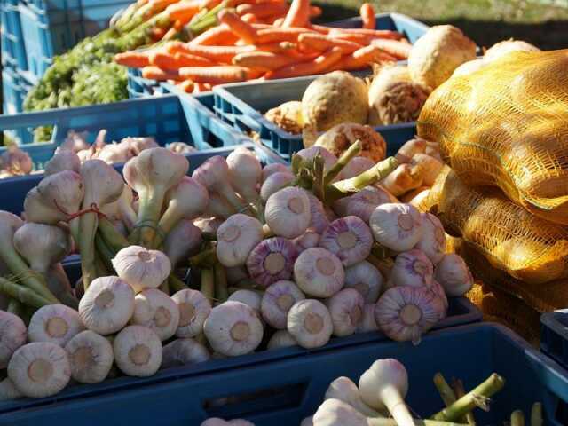 MARCHÉ : AU TERROIR DES BOHOS