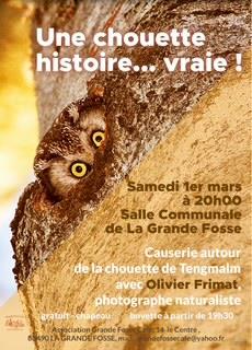 CAUSERIE : UNE CHOUETTE HISTOIRE... VRAIE !