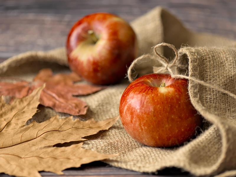 Fête de La Pomme