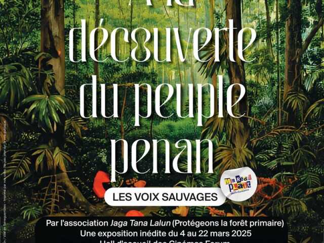 Exposition - À la découverte du peuple penan de Bornéo