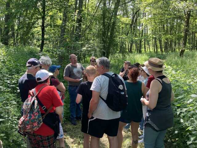 Festival du Patrimoine Naturel - Balade nature au temps des Gallo-Romains