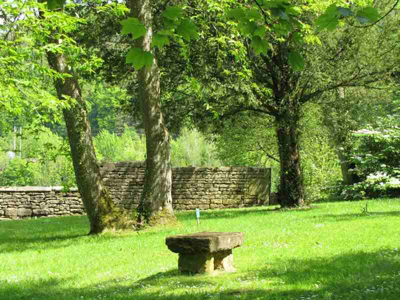 LES ARBRES FABULEUX DE CONS-LA-GRANDVILLE