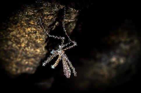 EXPOSITION DE PHOTOGRAPHIES : « DU MONDE SOUTERRAIN AU FIRMAMENT » DE THIERRY VINCENT