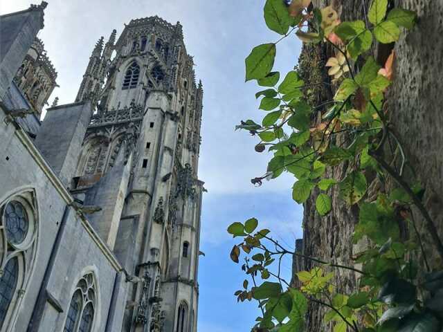 CATHÉDRALE TOUL, ENTRE PIERRES ET NATURE - UN PÈLERIN À LA CATHÉDRALE