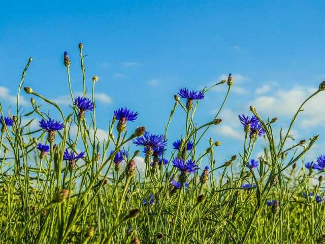 Exposition photographique 