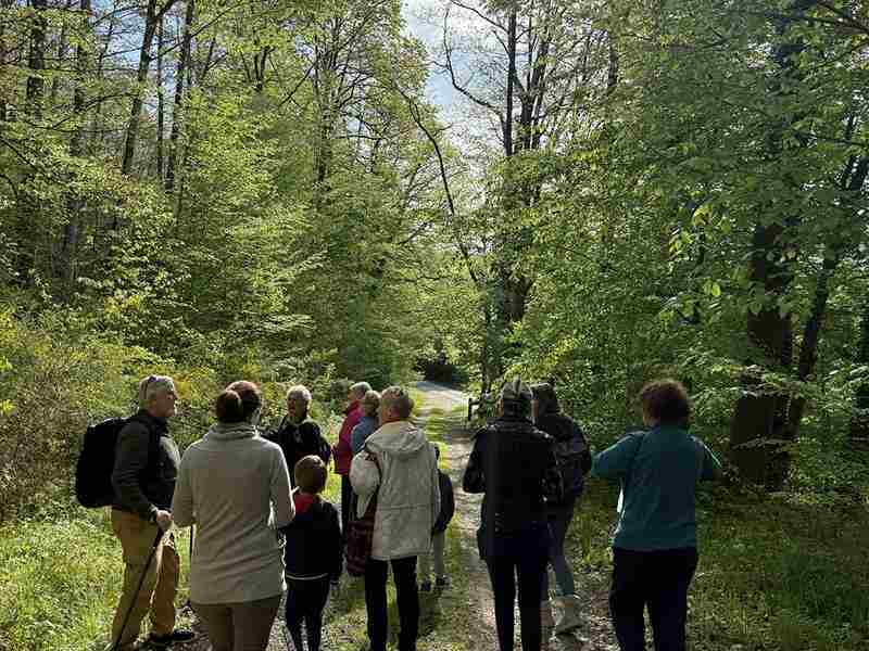 Les forêts de l'histoire argonnaise