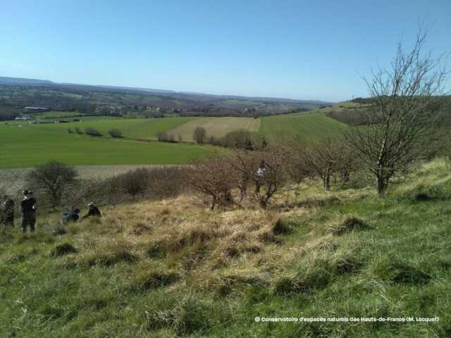 Sortie Nature à Longueville