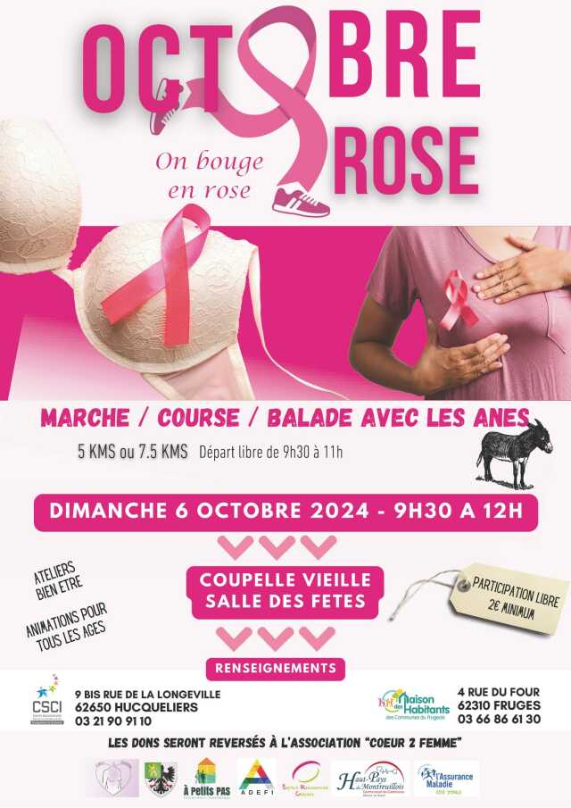 Octobre rose - marche, course, balade avec les ânes à Coupelle-Vieille