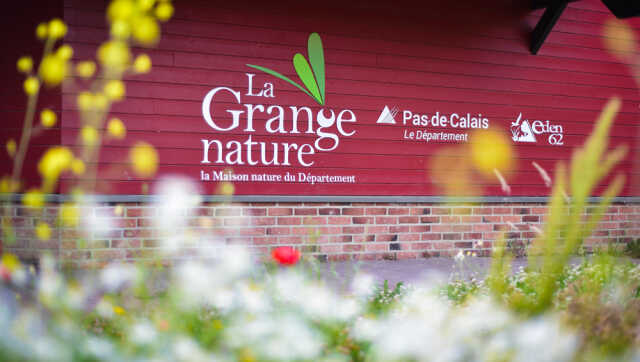 Grange nature - Fleurs des sous-bois