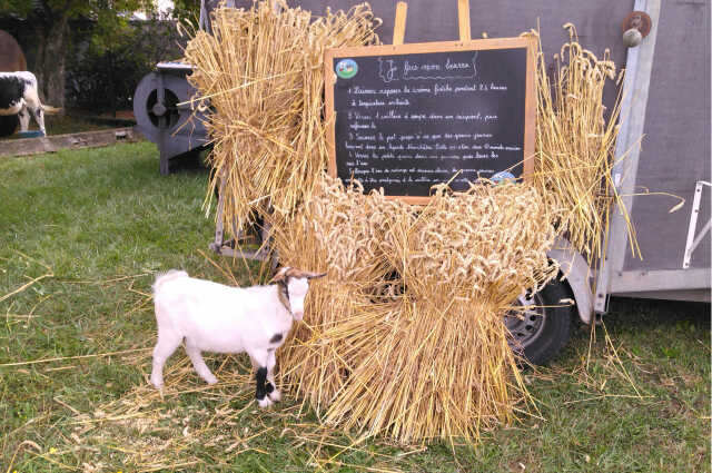 Ferme pédagogique et thérapeutique itinérante