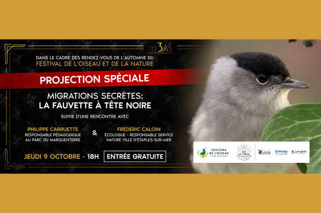 Festival de l'Oiseau et de la nature