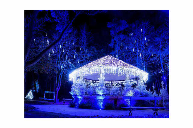 Visite guidée - Le patrimoine architectural sous les illuminations de Noël