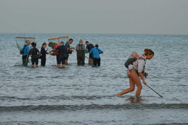 Partons pêcher la crevette